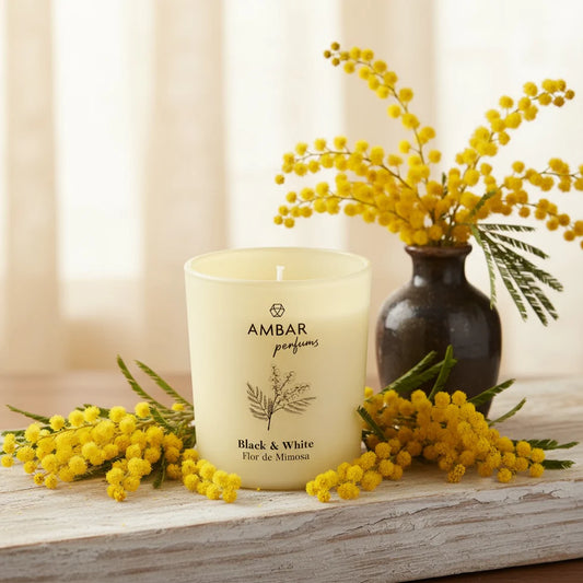 Bougie parfumée fleur de mimosa - Ambar