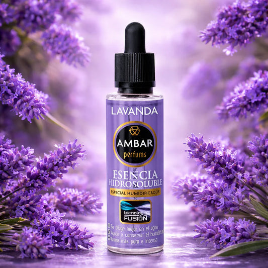 Essence Concentré Parfum Lavande 50ml - Ambar