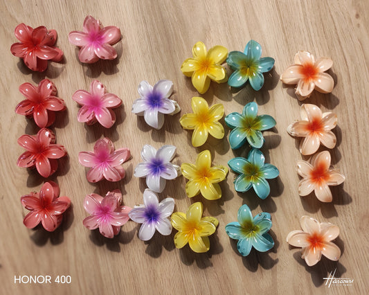 Petites pinces fleur tiaré